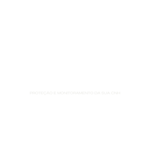 localize Soluções logo